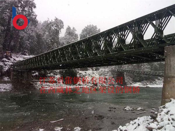西藏林芝地區架設的貝雷鋼橋